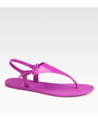 brown and gold birkenstock