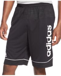 Adidas Future Star Shorts - Lyst