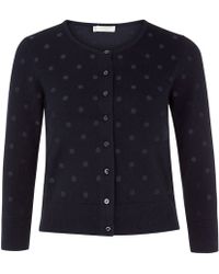 hobbs blue cardigan