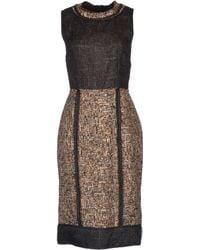 D&g Sleeveless Lace Overlay Dress in Black | Lyst