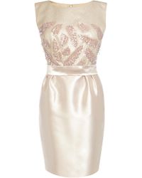 Coast Jeshan Dress - Lyst