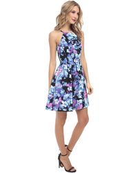 Vince Camuto Fit And Flare W/ Cut In Bodice - Lyst