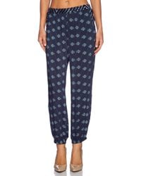 velvet by graham and spencer pants