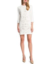 Cynthia Steffe Anya Lace-Front Mini Dress - Lyst