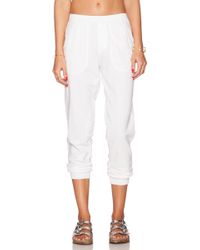 velvet by graham and spencer pants