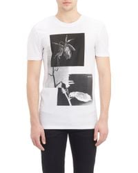 Helmut Lang Wilted Rose Graphic T-Shirt - Lyst