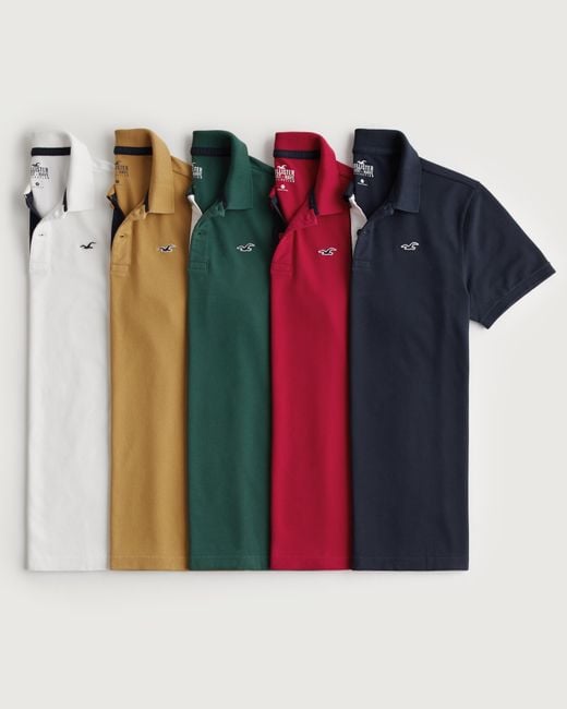 hollister-MULTI-Logo-Icon-Polo-5-pack.jpeg