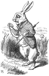 Down the rabbit hole
