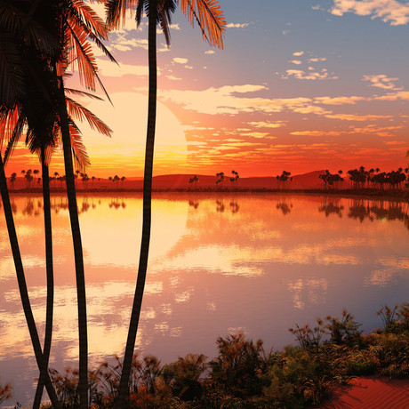 Vacay in the Tropics