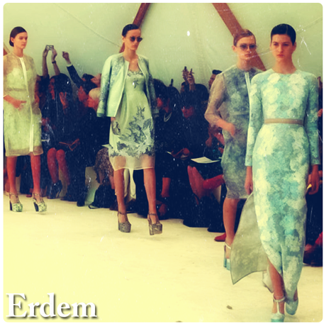 LMJukez's Best Picks: Erdem