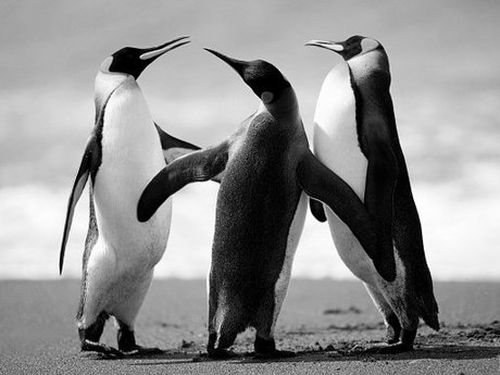 Crazy black and white stuff