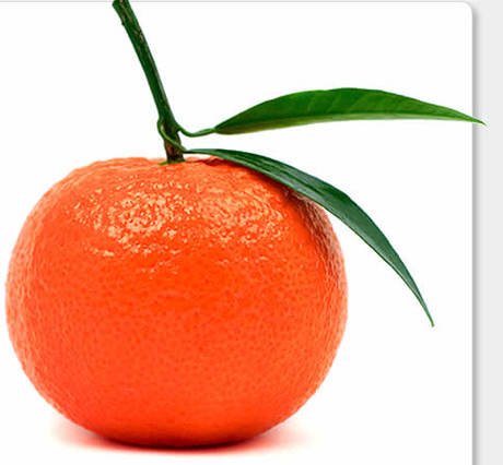 Tangerine dream