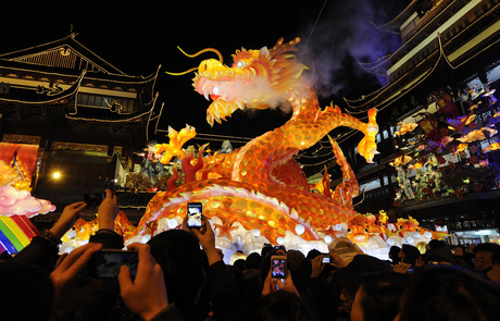 Year of the Snake