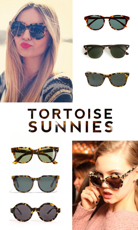 Project 365 Things // Day 74 – Tortoise Sunglasses