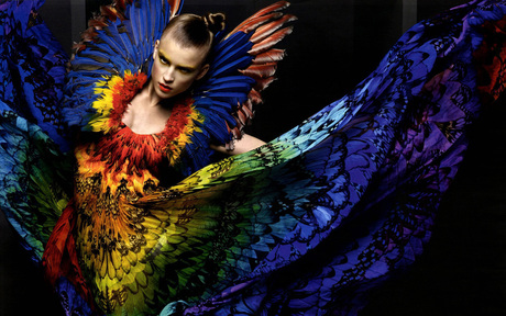 Fly, Feather Fly