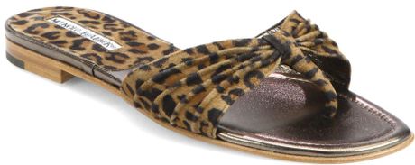 Manolo Blahnik Berna Leopard-Print Suede Thong Sandals in Animal ...