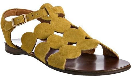 design wala shoes