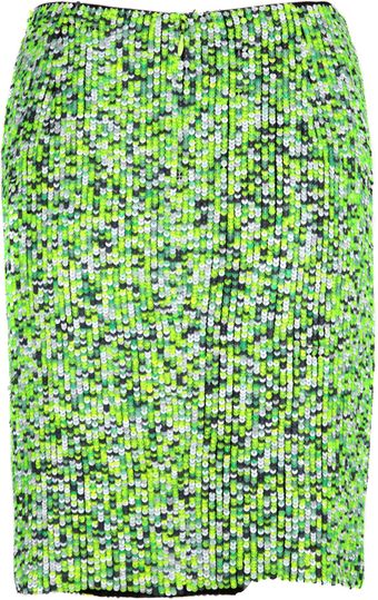  Embroidered Of Sequins Silk Skirt 