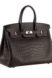 Hermes 35cm Birkin - Lyst