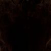 Liska Mink Fur Gilet in Brown - Lyst