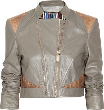Matthew Williamson Cropped Snakeskin-paneled Leather Jacket - Lyst