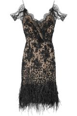Oscar de la Renta Feather and Sequin-embellished Lace Dress