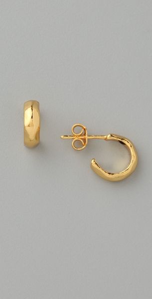  Chloe Mini Hoop Earrings 