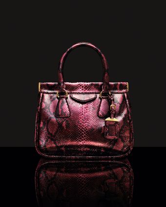  Python Frame Bag 