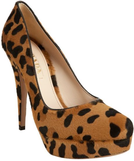 Prada Honey Leopard Print Calf Hair Platform Pumps in Animal (honey) - Lyst