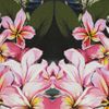 Stella Mccartney Hawaiianprint Silk Dress in Multicolor (black) - Lyst