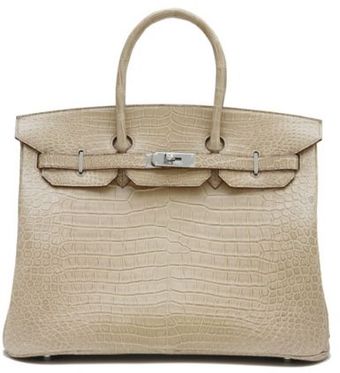 Hermes Poussiere Crocodile Birkin - Lyst