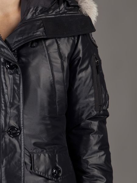 canada goose store vienna canada goose store vienna