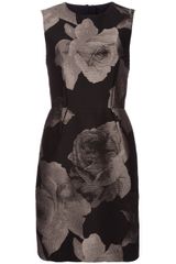 Lanvin Rose Print Dress
