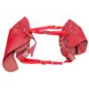Comme Des Garçons Leather Belt in Red - Lyst
