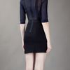 Markus Lupfer Net Detail Fitted Dress in Black - Lyst