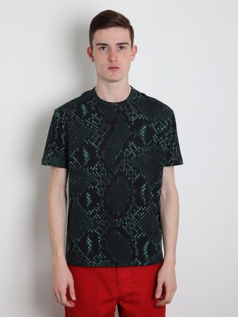 Jil Sander Python Print T Shirt - Lyst