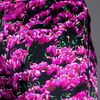 Mary Katrantzou Strip Valley Short in Black (floral) - Lyst