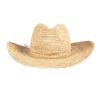 Allsaints Maurette Hat in Beige (natural) - Lyst