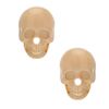 Topshop Enamel Skull Studs in Gold (cream) - Lyst