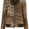 Dolce & Gabbana Leopard Print Bomber Jacket in Animal (leopard) - Lyst