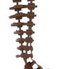 Christian Louboutin 20th Anniversary Rose Du Desert Leather Knee Sandals in Brown (rose) - Lyst