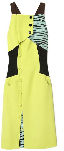 Proenza Schouler Asymmetrical Button Dress in Green (zebra) - Lyst