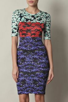 Mary Katrantzou Strip Valley Floral Dress - Lyst