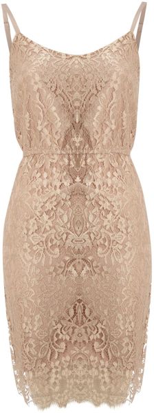 True Decadence Lace Strap Dress - Lyst