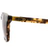 Alexander Wang Alexander Wang Wayfarer Sunglasses in Brown for Men - Lyst