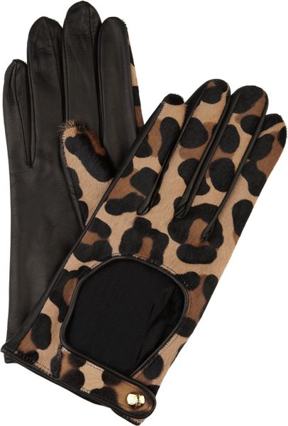 Agent Provocateur Leopardprint Calf Hair Driving Gloves in Animal (leopard) - Lyst