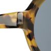 Illesteva Frieda Roundframe Acetate Sunglasses in Brown (smoke) - Lyst
