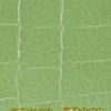 Miu Miu Croceffect Glossedleather Passport Holder in Green - Lyst