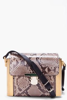 Lanvin Taupe Python Skin Camera Bag - Lyst