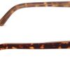 Elizabeth And James Rectangle Sunglasses in Brown for Men (tortoise frame/brown lens) - Lyst
